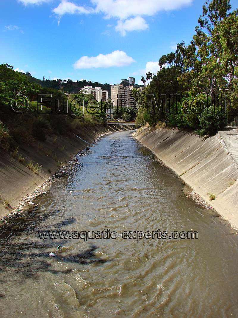 FOTO RIO GUAIRE
